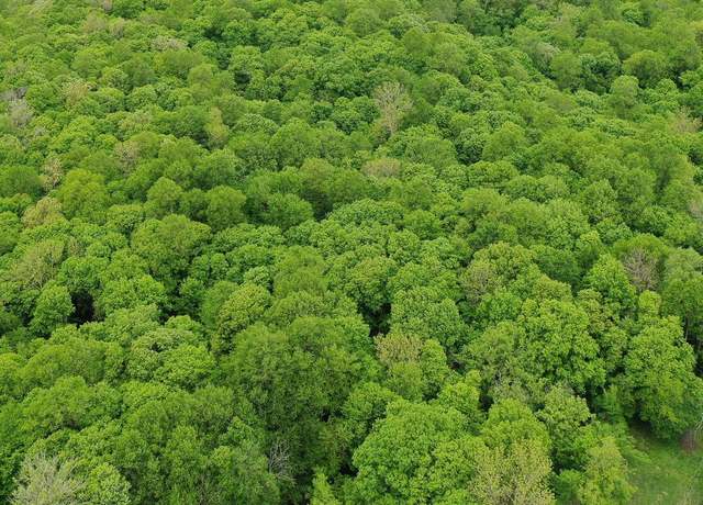 Property at (Tract 10) TBD NE Rock Lake Rd, Rochert, MN 56578