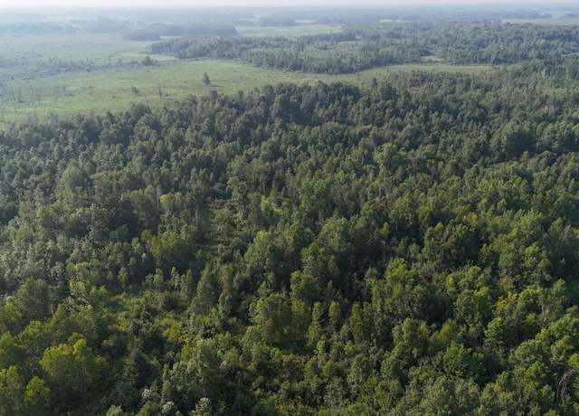 Property at TBD Highway 107, Brook Park, MN 55007