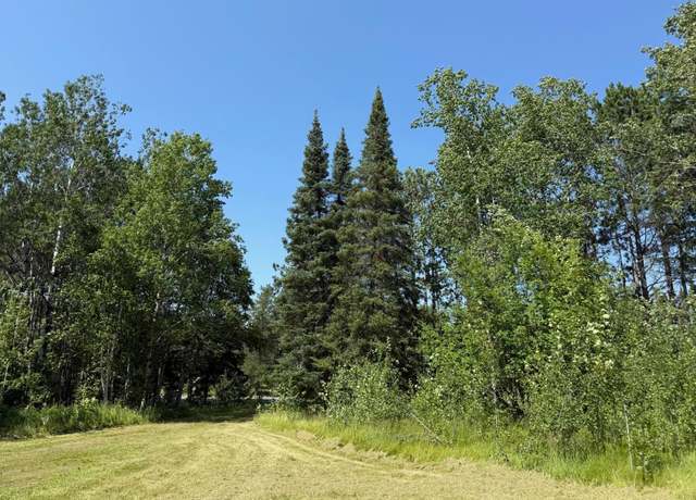 Property at 36719 State Highway 65, Nashwauk Twp, MN 55769