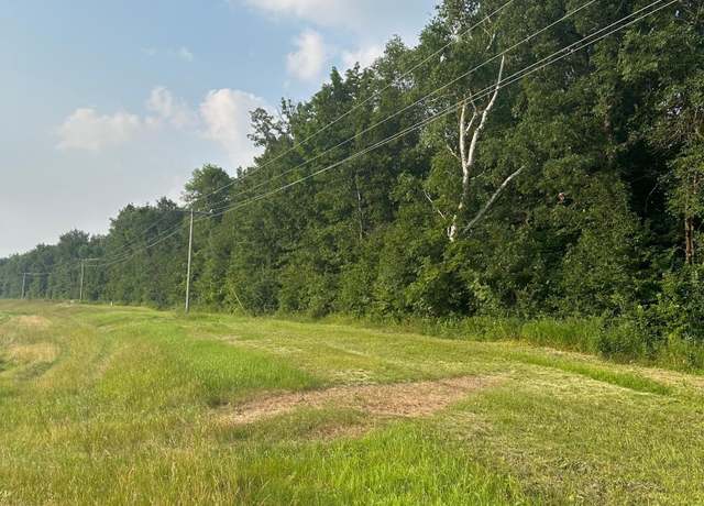 Property at TBD Hwy 29, Miltona Twp, MN 56361