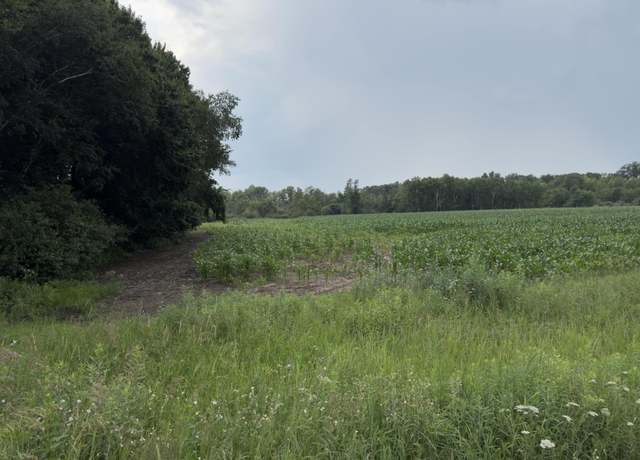 Property at xxx Athens, Stacy, MN 55079