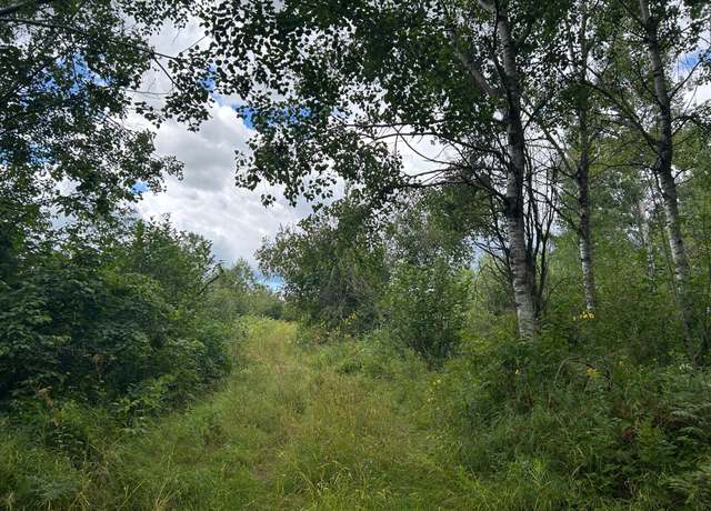 Property at TBD Duncan Rd, Wilma Twp, MN 55072
