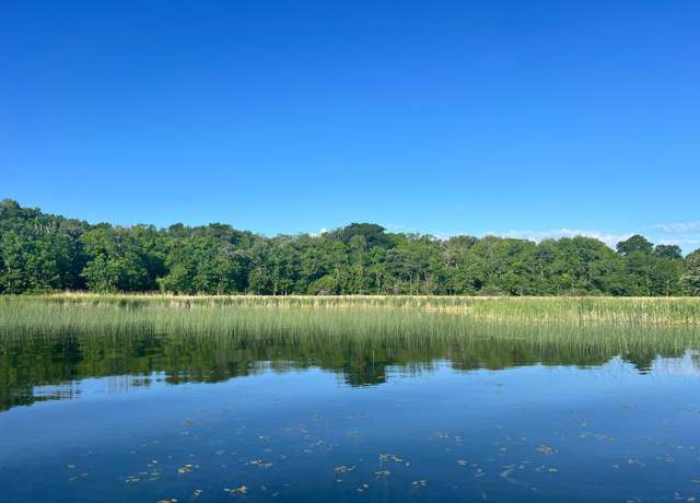 Property at 4XXXX E Lake Lizzie Rd, Lida Twp, MN 56572