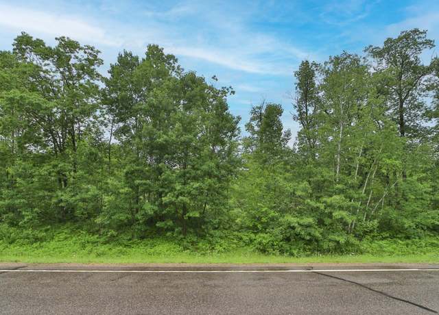 Property at TBD County 7 Rd, Remer, MN 56672