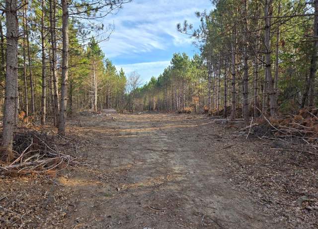 Property at Lot 1 County Rd S, Wheeler, WI 54772