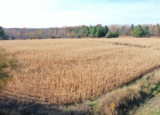 Property at XXX Lara Rd, Grantsburg, WI 54840
