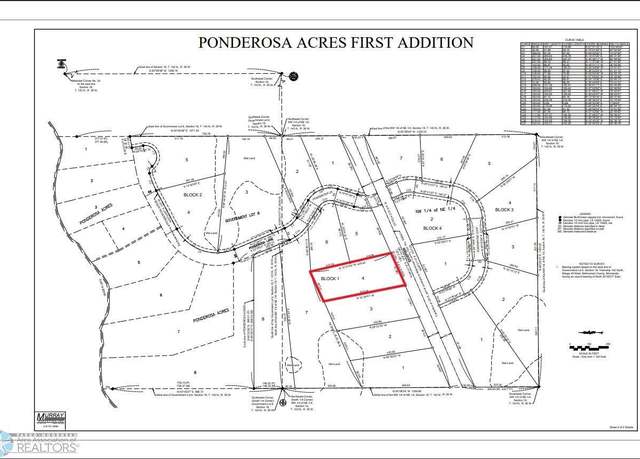 Property at (Lot 4) TBD County Rd 4, Little Elbow Twp, MN 56589