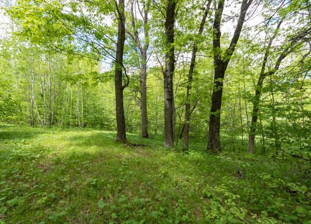 Property at Lot 12 133rd St, Amery, WI 54001