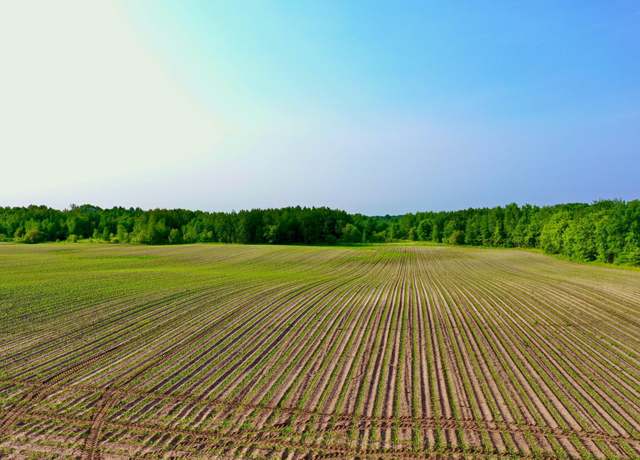 Property at NA 465th St, Sunrise Twp, MN 55032
