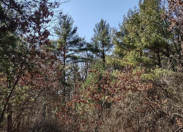 Property at Lots 41,42,43 S Red Pine Trl, Brockway Twp, WI 54615