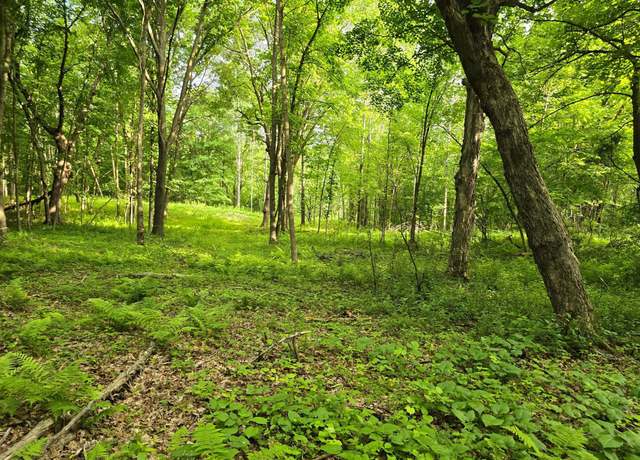 Property at TBD 120th Ave, Balsam Lake Twp, WI 54001