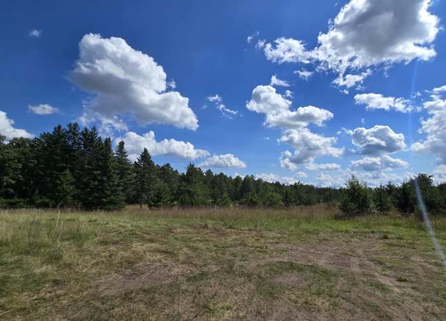 Property at Tract D State Highway 84 SW, Pine River, MN 56474