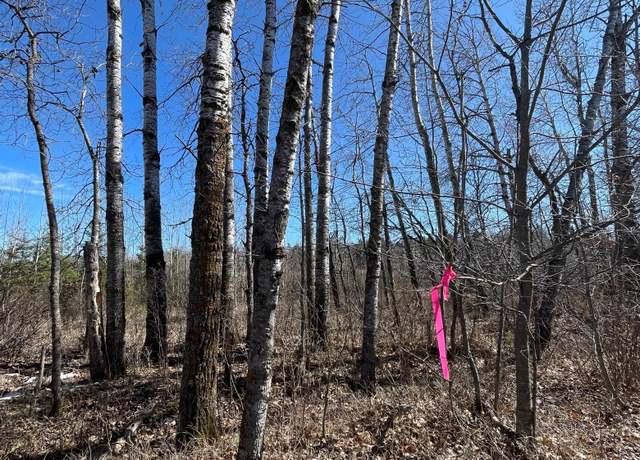 Property at 46962 Parcel B 269th Ave, Laporte, MN 56461