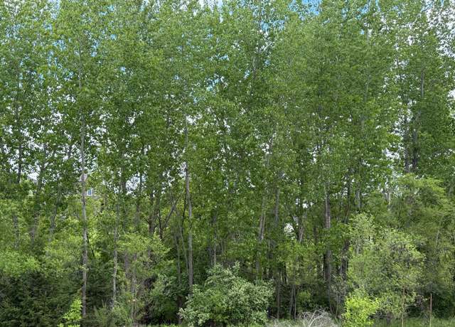 Property at 1765 Brandlewood Ct W, Hastings, MN 55033