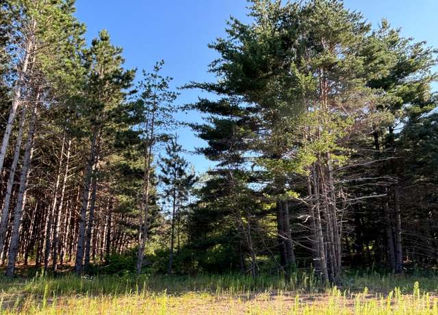 Property at L5,Blk1 262nd Ave NW, Orrock Twp, MN 55309