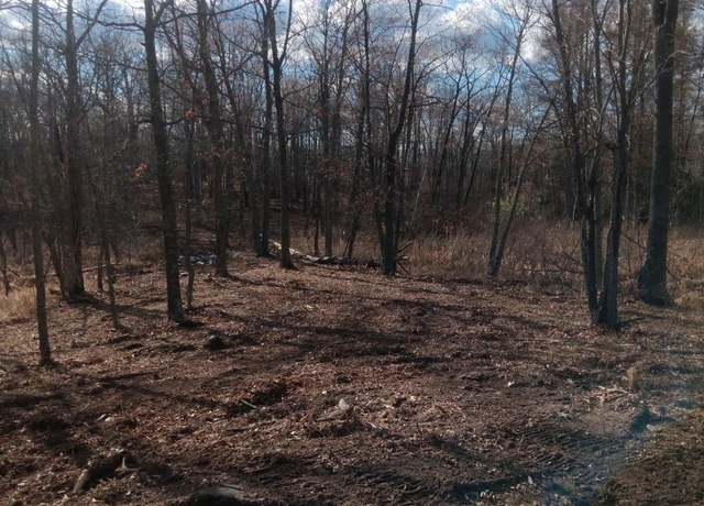 Property at XX County Road 138, Garrison Twp, MN 56450
