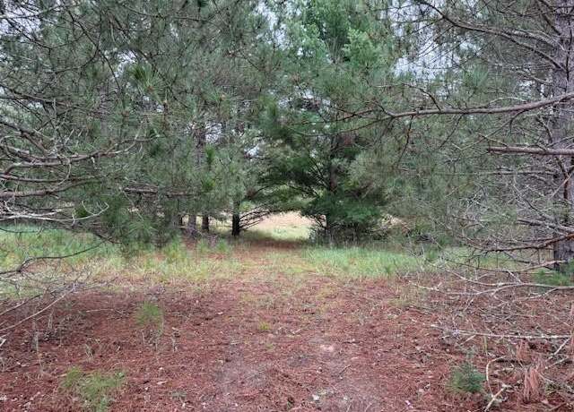 Property at tbd Swenson Rd SE, Bemidji, MN 56601