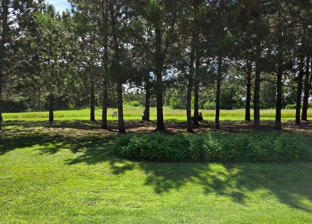 Property at TBD Hoffman Beach Dr, Hillman, MN 56338