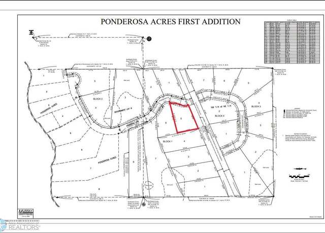 Property at (Lot 5) TBD County Rd 4, Little Elbow Twp, MN 56589
