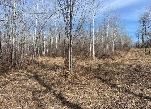 Property at 000 Lost Fawn, Arlone Twp, MN 55037