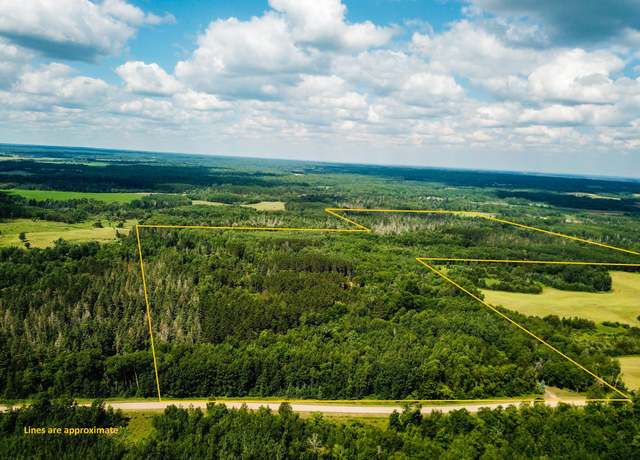Property at 40699 Jack Pine Rd, Holst Twp, MN 56621