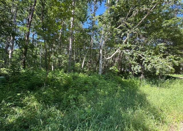 Property at TBD Cedar St, Breezy Point, MN 56472