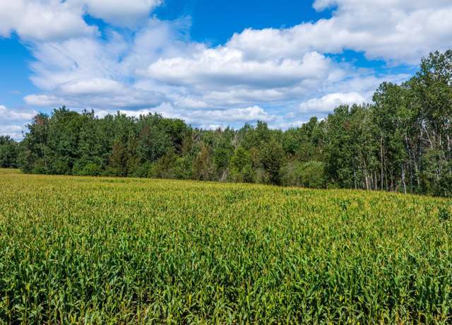 Property at TBD 180th St, Verndale, MN 56481