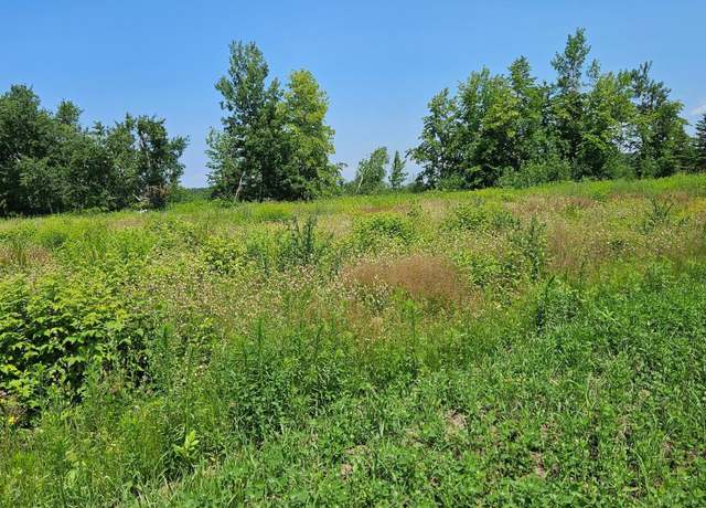 Property at lot7 Hooper Creek Loop, Baudette, MN 56623