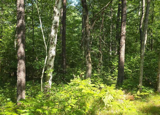 Property at Lot 13 Lot 13 Hide-a-way Trl, Webb Lake, WI 54830