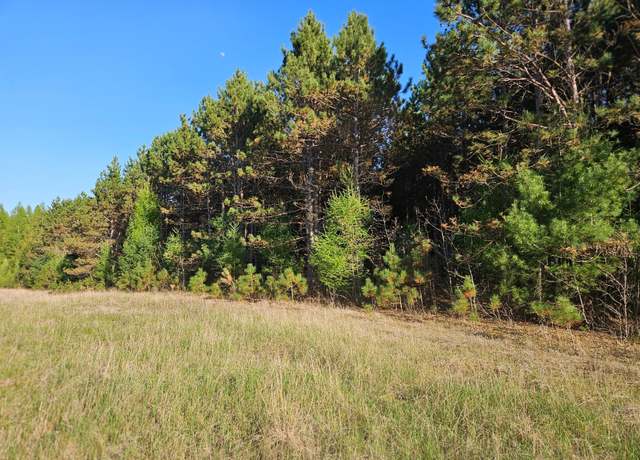 Property at 0 990th Ave, Colfax, WI 54730