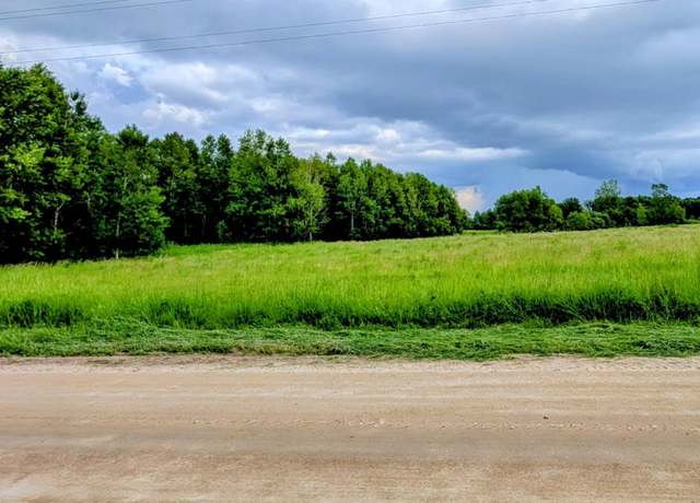 Property at TBD 141st Ave, Leslie Twp, MN 56360