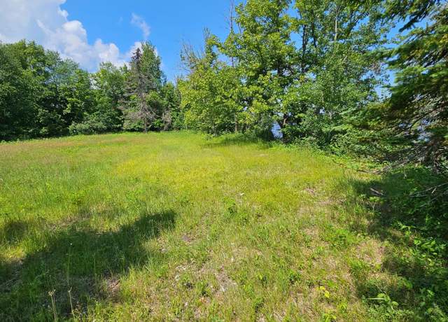 Property at lot8 Hooper Creek Loop, Baudette, MN 56623