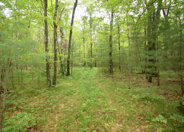 Property at TBD Helsene Rd, Webster, WI 54893