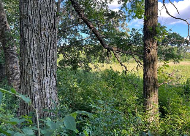 Property at C-1 County Hwy 17, Candor Twp, MN 56587