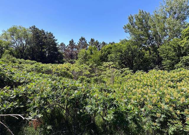 Property at 3xxxx Smokey Ln, Everts Twp, MN 56515