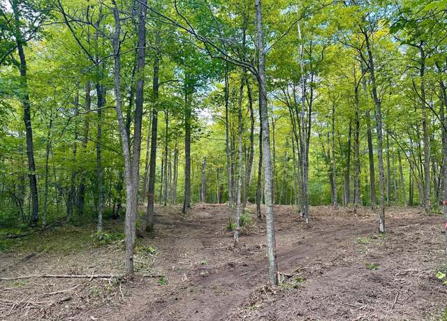 Property at TBD County Road 157 NE, Remer, MN 56672