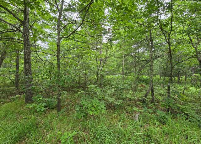 Property at Lot 8 Saylors Ln, Siren, WI 54872