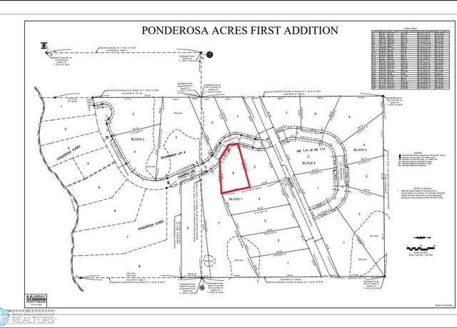 Property at (Lot 6) TBD Ponderosa Ln, Little Elbow Twp, MN 56589