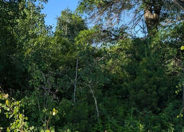 Property at TBD 60th St SW, Maple Twp, MN 56472