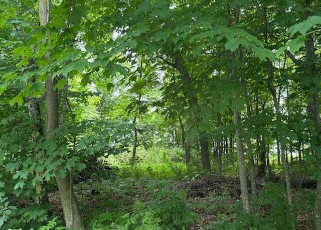 Property at XXX 170th Ave, Balsam Lake, WI 54824