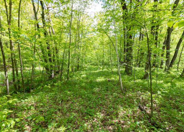 Property at Lot 15 133rd St, Amery, WI 54001