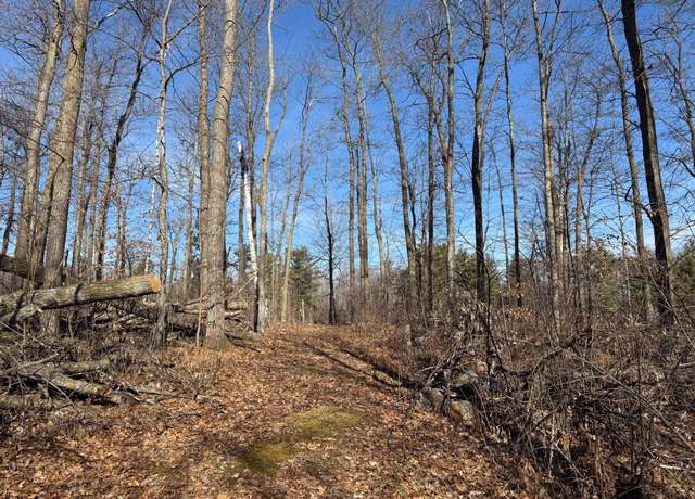 Property at TBD Marble Dr, Cushing, MN 56475