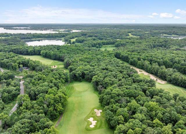 Property at XXX Dog Leg, Pelican Twp, MN 56472