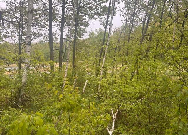 Property at xxx Cardinal Trl, Cushing Twp, MN 56475