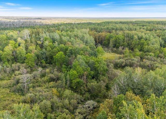 Property at XXX 1262ac Pine Island State Frst, Big Falls, MN 56627