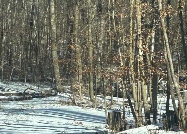 Property at xxx Birchcurve Rd, Cushing Twp, MN 56475