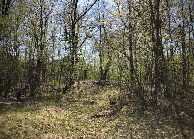 Property at 9953 Riverbed Rd, Royalton Twp, MN 55063