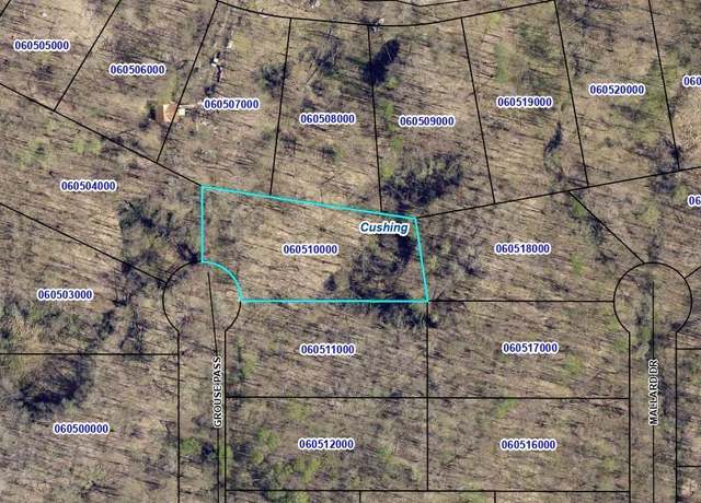 Property at Lot 61 Grouse Pass, Randall, MN 56475