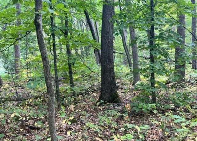 Property at xxx Mallard Dr, Cushing Twp, MN 56443