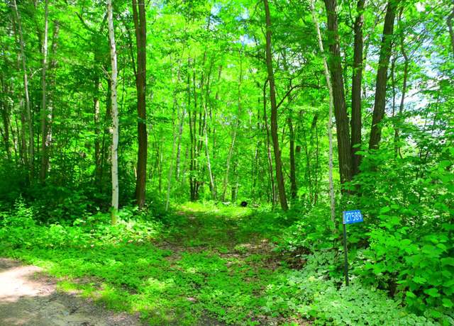 Property at 27589 Norway Trl, Cushing Twp, MN 56475
